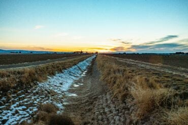 ditch