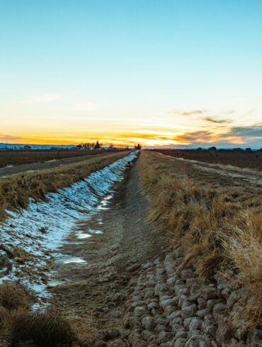 ditch