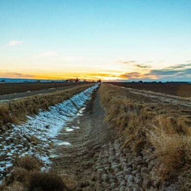 ditch