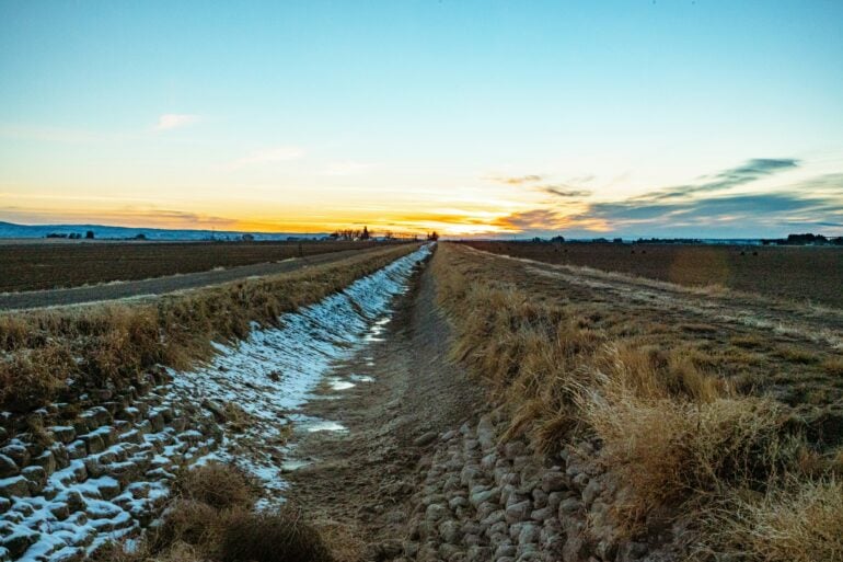 ditch